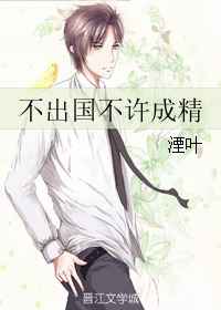从不出境出国